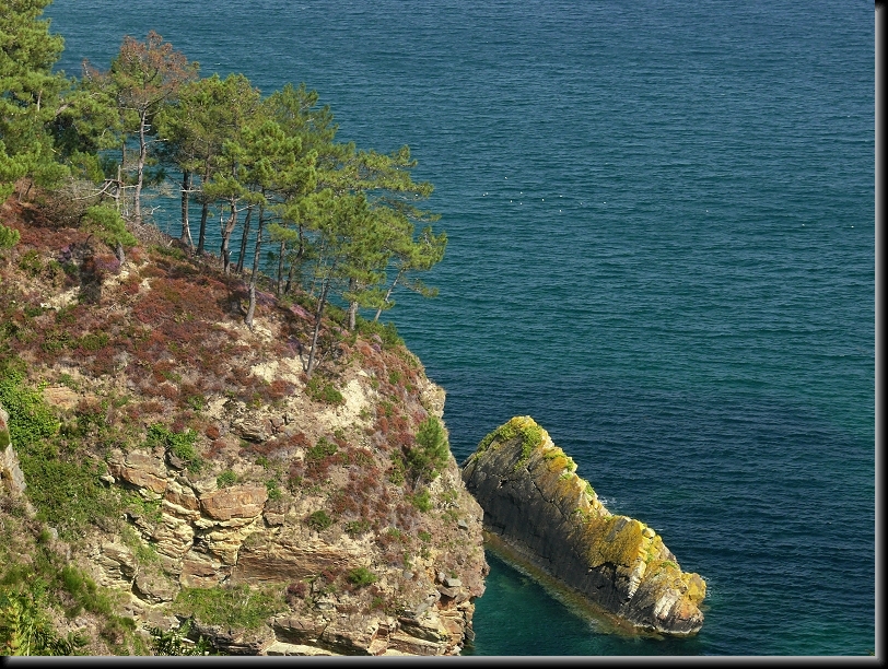 Diapositive suivante