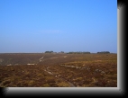 Cap de la Chèvre, le 16 mars 2006
Paysage typique de lande bretonne.