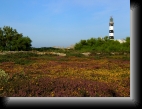 Ouessant, le 8 sept. 2006
Chapeau rouge et tricot rayé, pas de doute le phare du Créac'h est en vue !