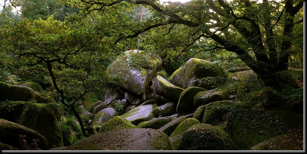 Diapositive suivante