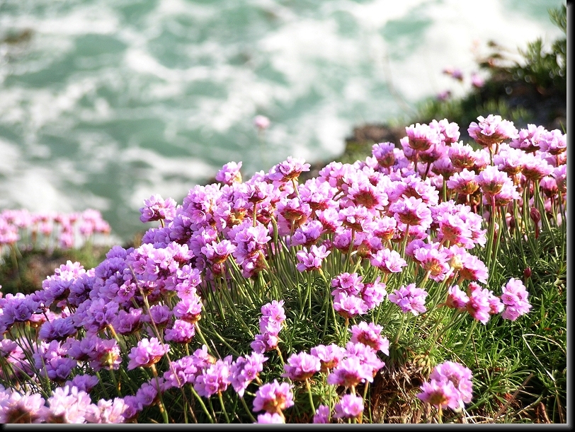 Vous avez atteint la dernière diapositive