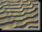 Lampaul Plouarzel, le 21 déc. 2005
Ripple marks (merci Céline !) laissées sur le sable.