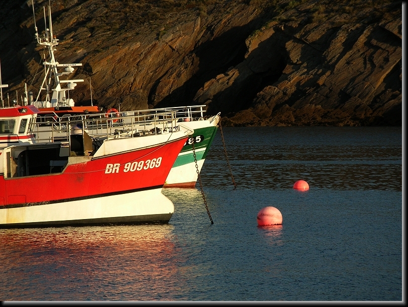 Diapositive suivante