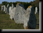 Carnac, le 18 nov. 2009
Un alignement de mégalithes qui laisse toujours à réfléchir...